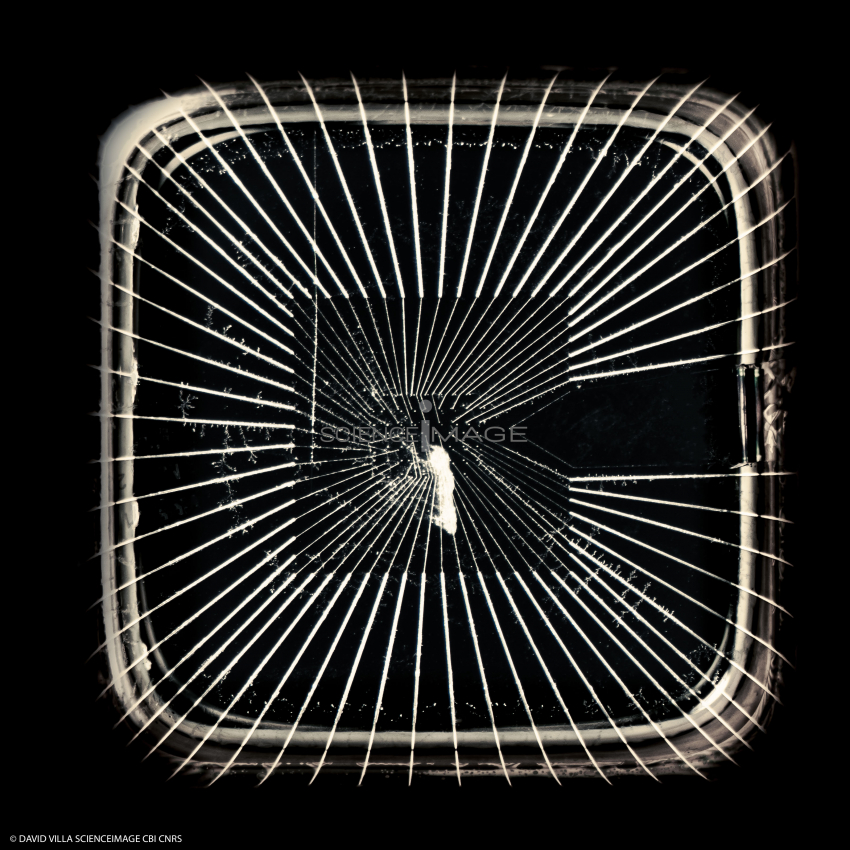 INFINITY-CPTP-Daniel DUNIA-L2_5612