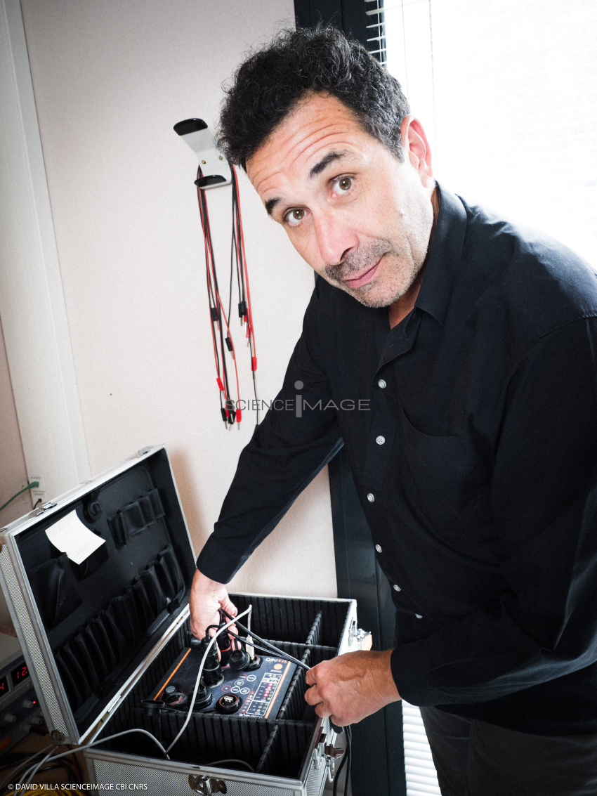 Frank GRIMAUD_OMP_L3-5466
