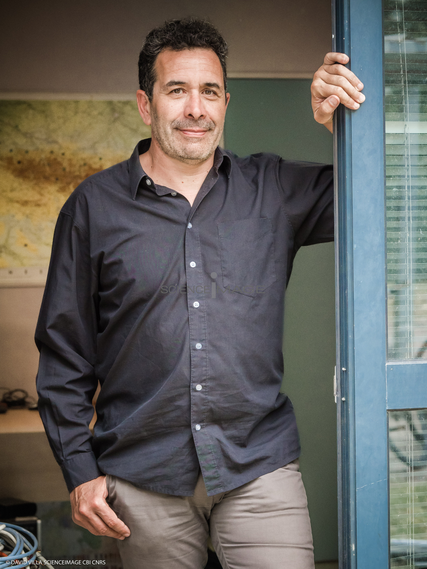 Frank GRIMAUD_OMP_L3-5511