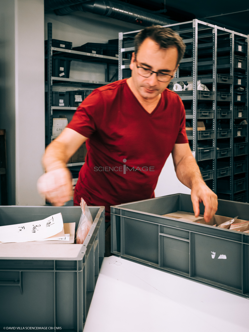 Salle de Stockage-L4_5975