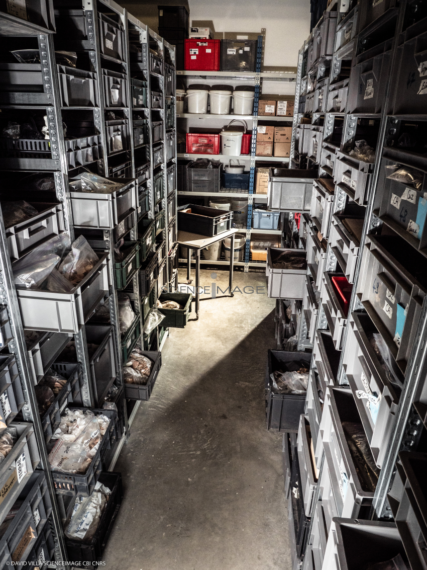Salle de Stockage-L4_6691