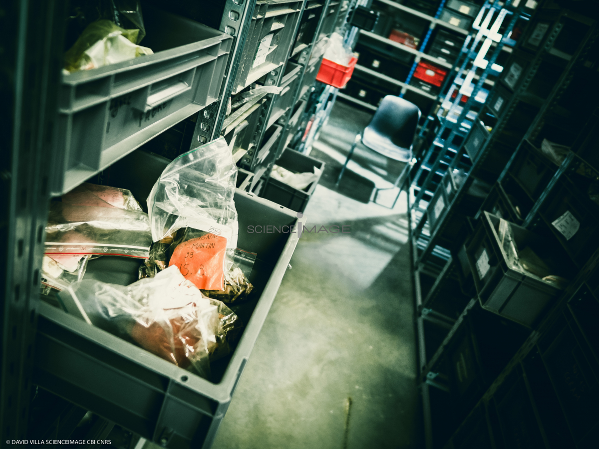 Salle de Stockage-L4_6755
