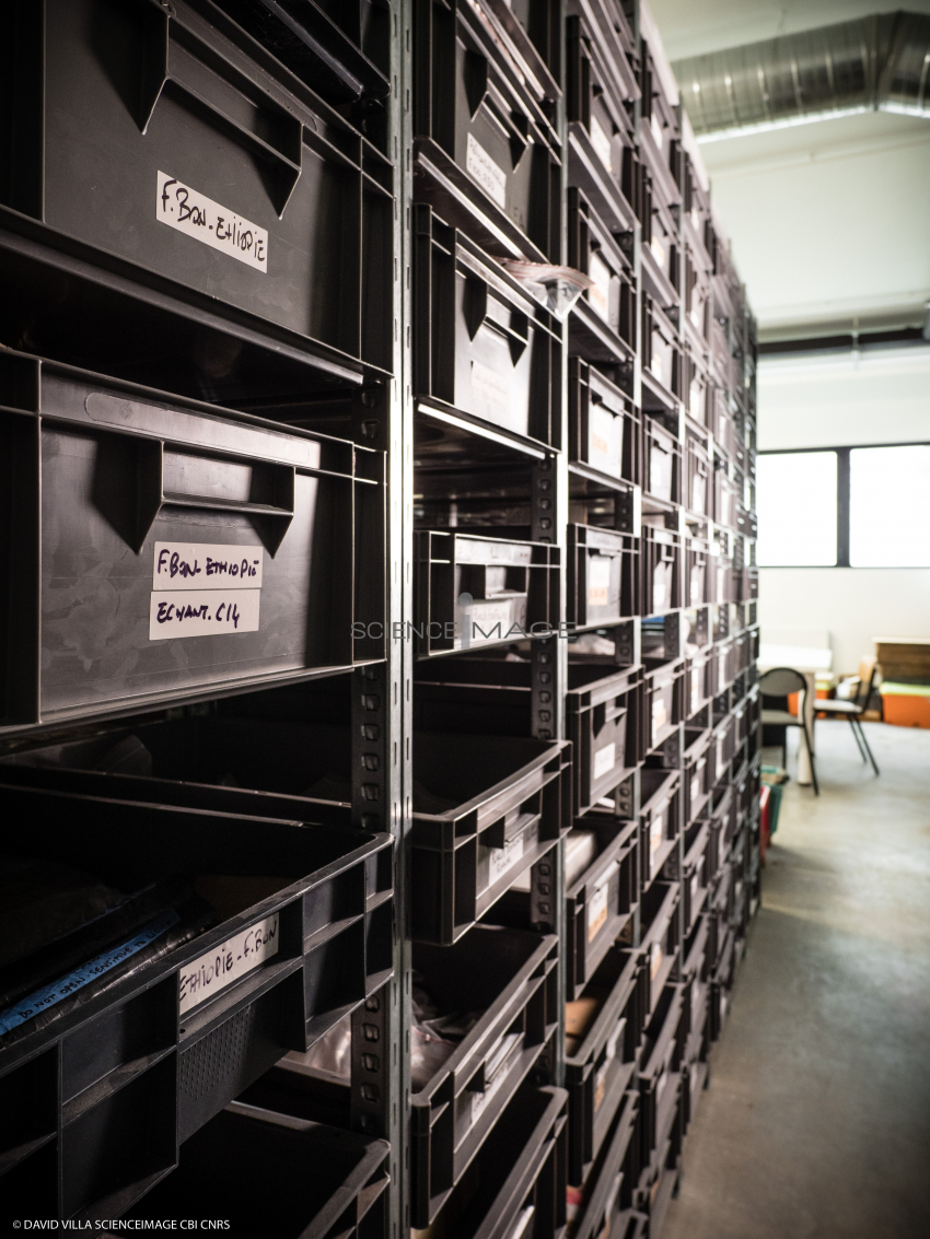 Salle de Stockage-L4_6856