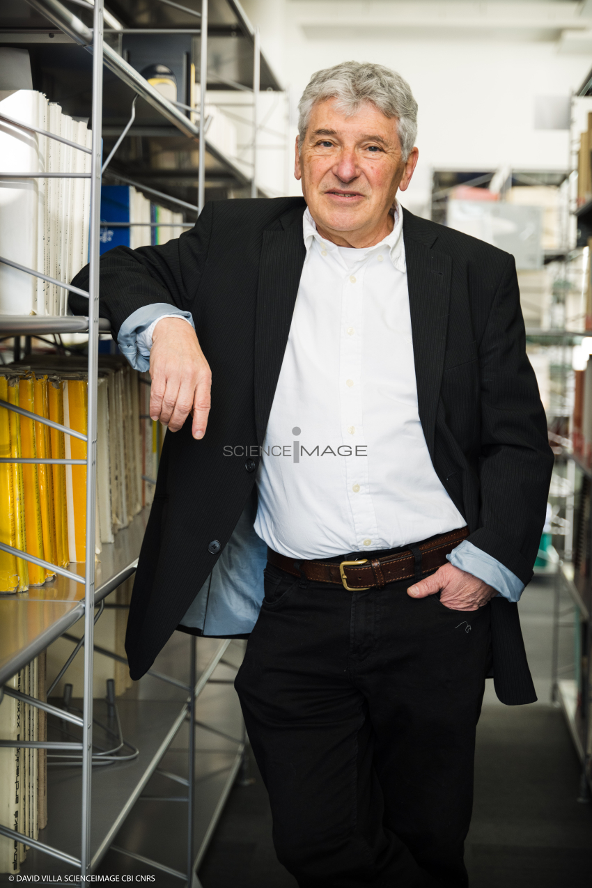 Michel Grossetti LISST_M1-2239