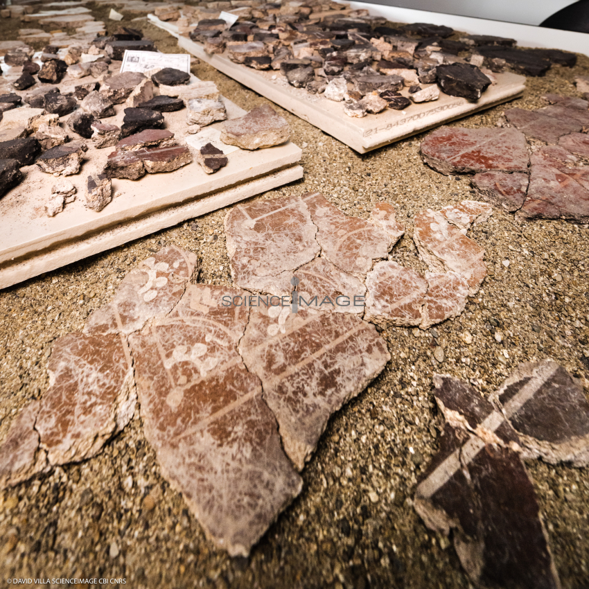 Plateau - Etude-remontage peinture murale_M1-2758
