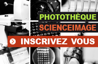 Sciences Biologiques Acteurs de la Recherche