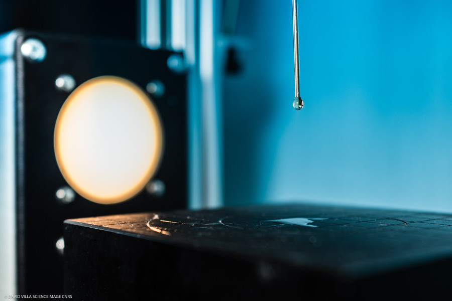 image Conditions d'utilisation de la photothÃ¨que