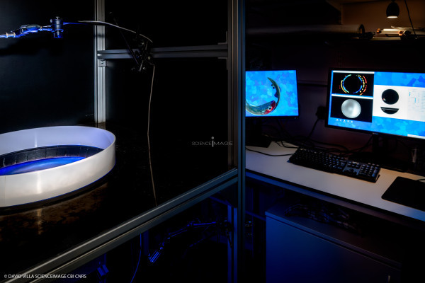 Dispositif rÃ©alitÃ© virtuelle poissons multiples_15